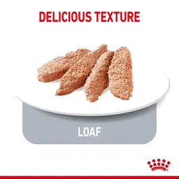 Canine Care Nutrition Light Weight Care (WET FOOD – Pouches) 85g