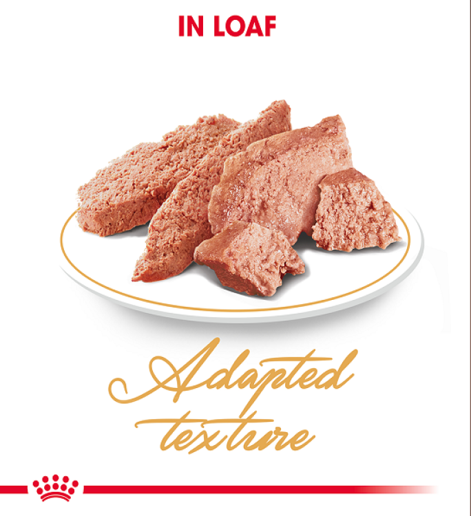 Feline Breed Nutrition Persian (Wet Food – Pouches) 85g_1