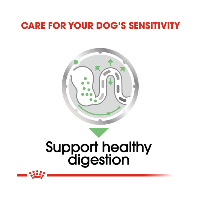 Canine Care Nutrition Digestive Care (WET FOOD – Pouches) 85g_1