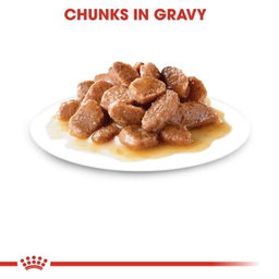 Feline Health Nutrition Sterilised Gravy (Wet Food – Pouches) 85g