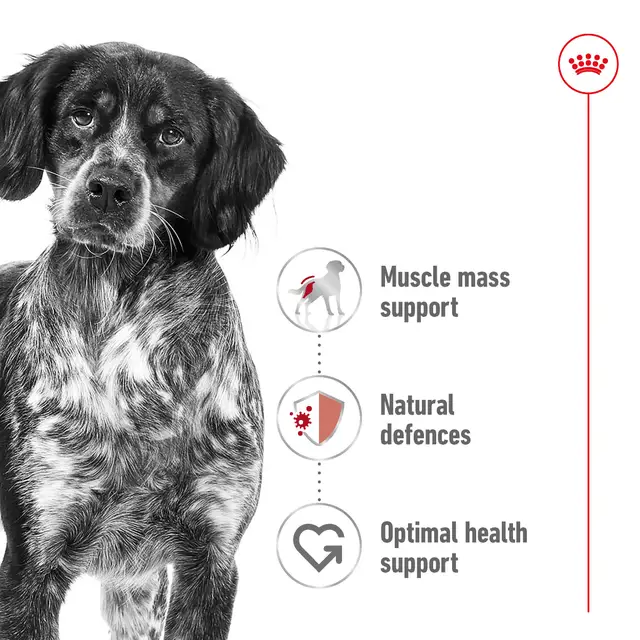 Size Health Nutrition Medium Puppy (Wet Food – Pouches) 140g_1