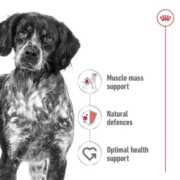 Size Health Nutrition Medium Puppy (Wet Food – Pouches) 140g
