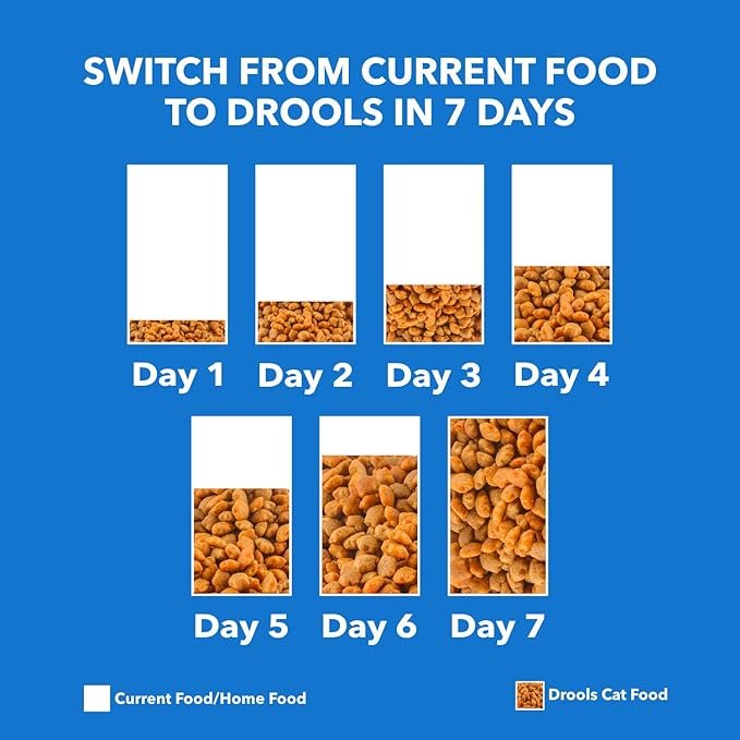 Drools Cat Dry Food – Mackerel 400g_4