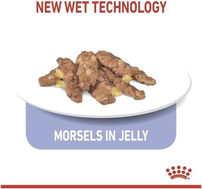 Royal Canin FELINE HEALTH NUTRITION INDOOR JELLY CAT WET FOOD_2