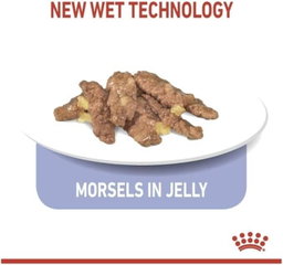 Royal Canin FELINE HEALTH NUTRITION INDOOR JELLY CAT WET FOOD