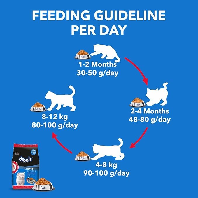 Drools Cat Dry Food – Mackerel 400g_5