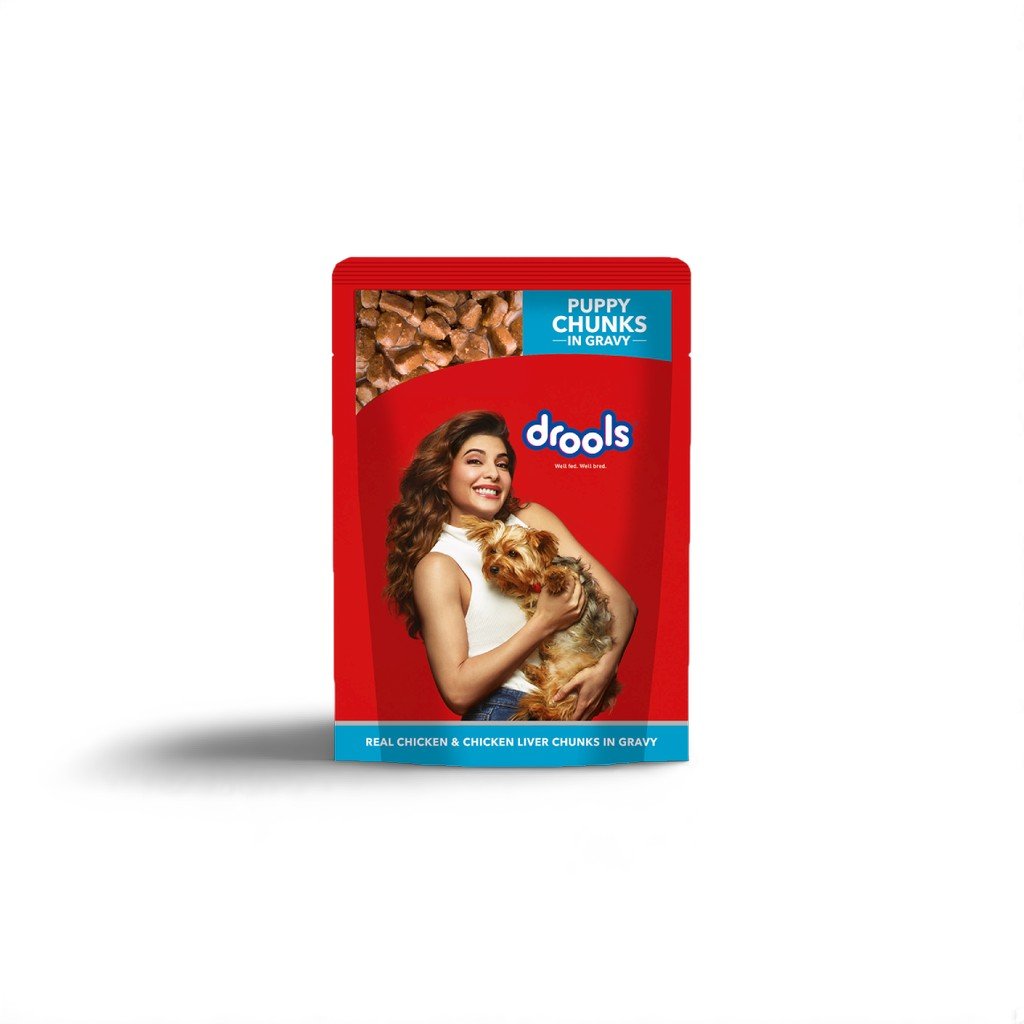 Drools Wet Food Puppy  Chicken & Liver Chunks Gravy 150g_0