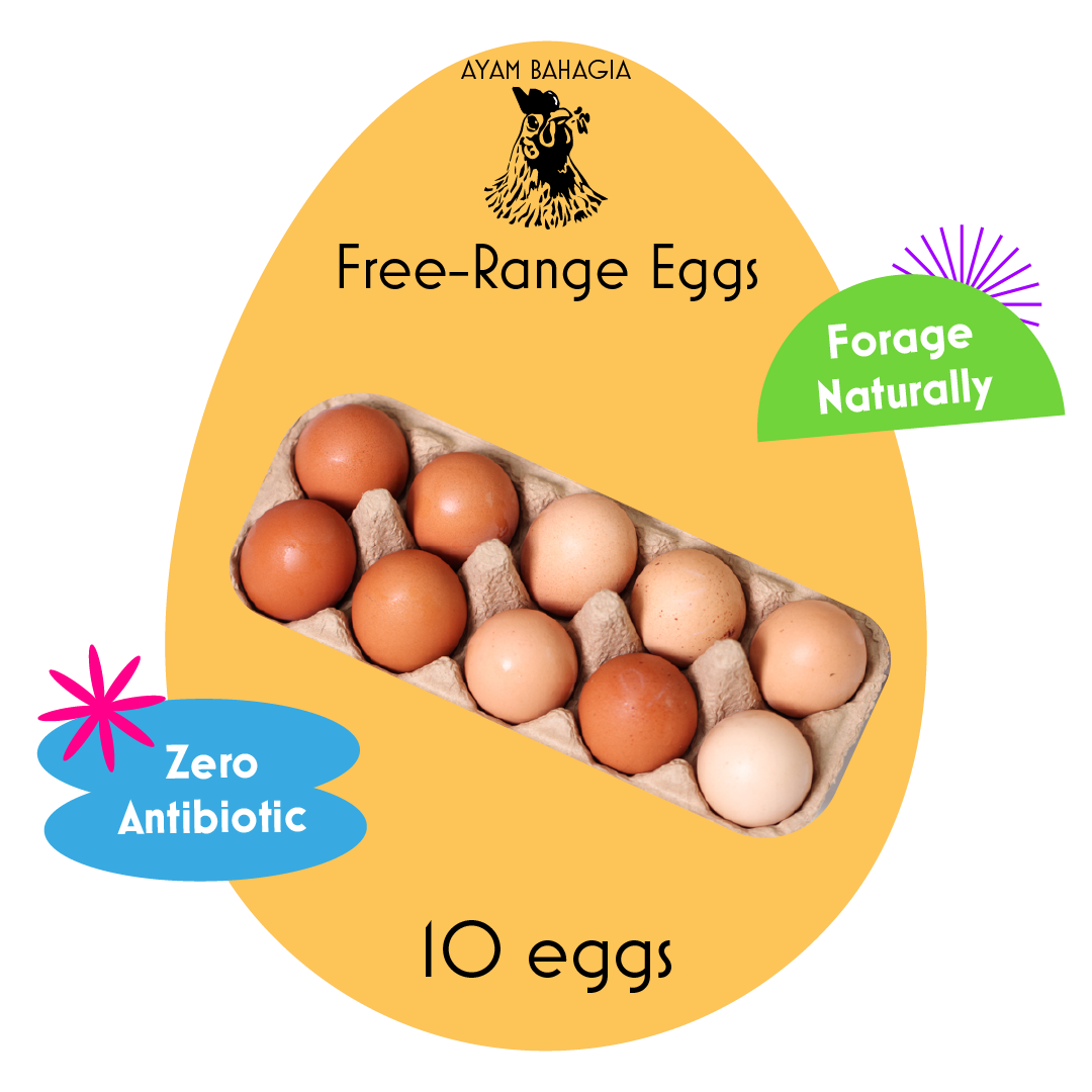 10 Free Range Eggs_0