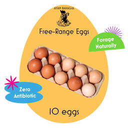 Free Range Eggs