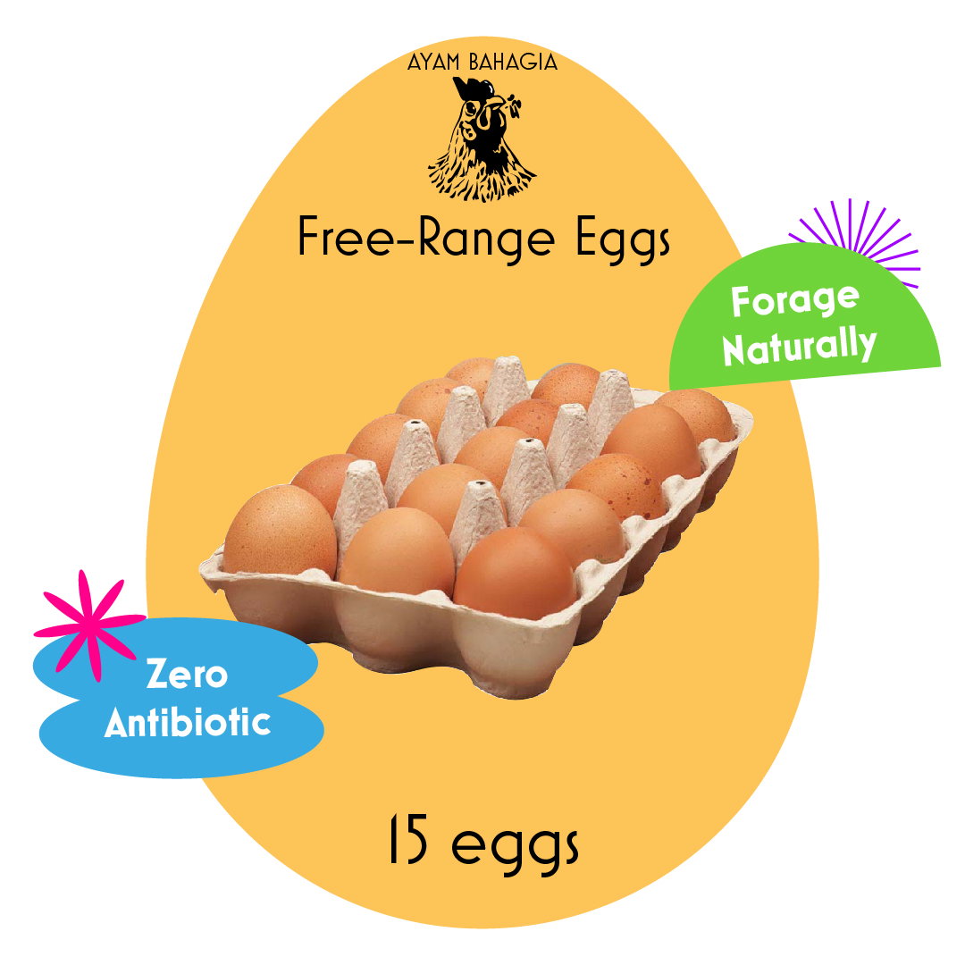15 Free Range Eggs