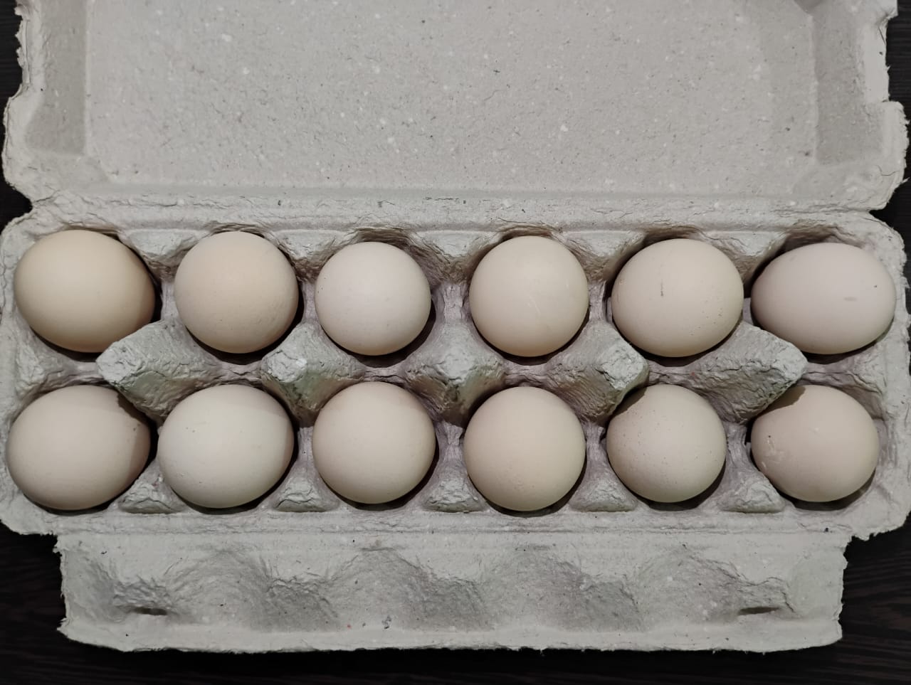 Natu Guddu (Desi eggs) 12PCS_1