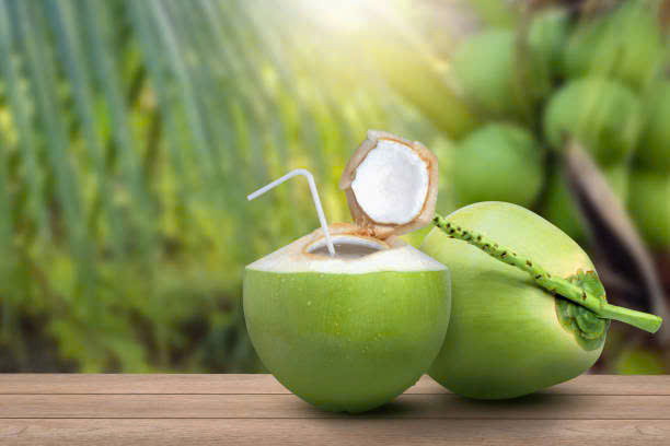 DỪA TƯƠI