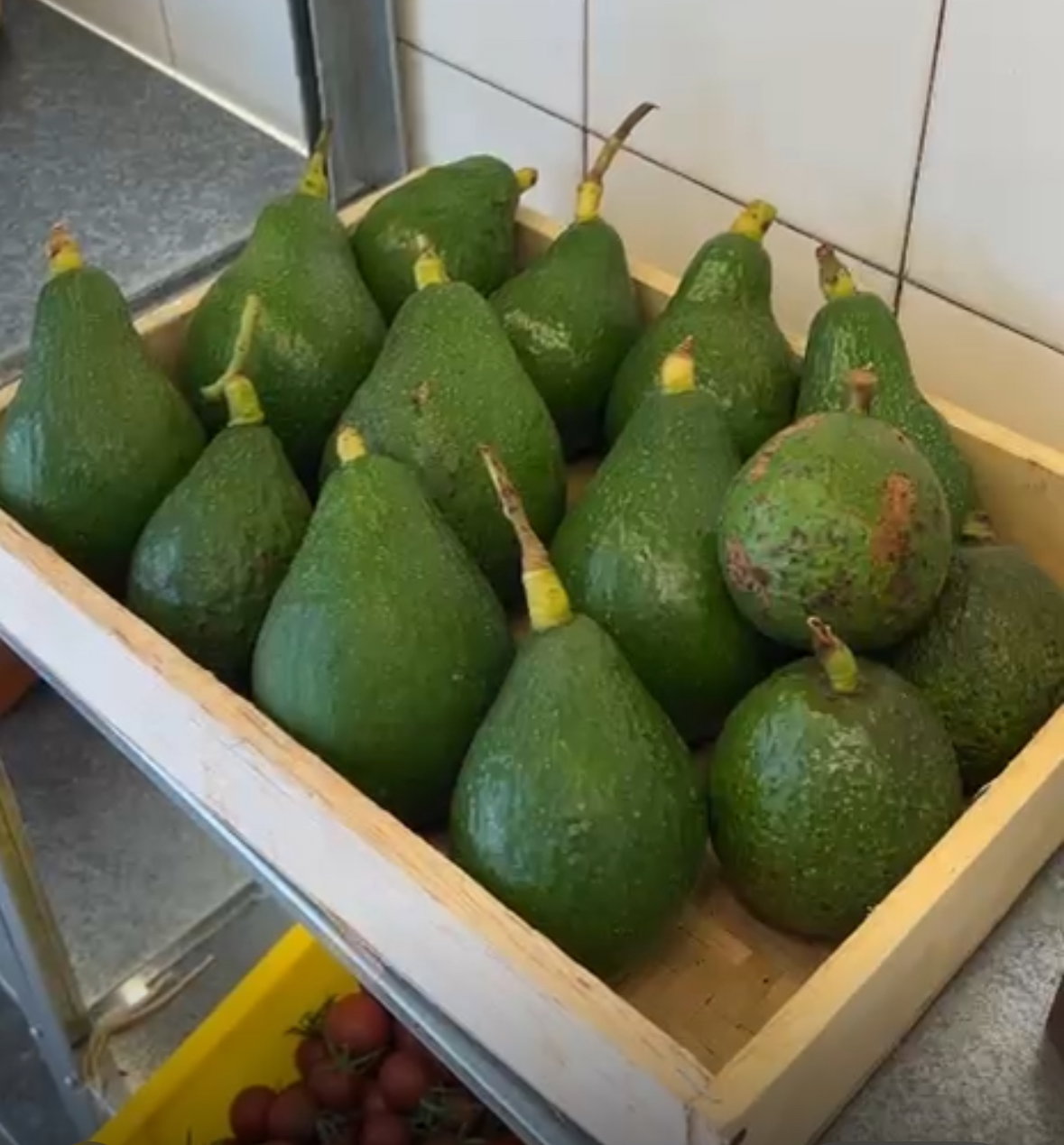 Local org Avocado Sherpard 500g _0