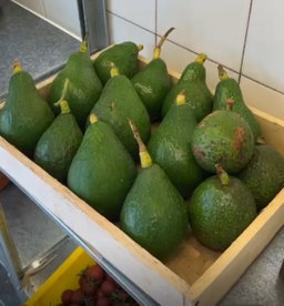Local org Avocado Sherpard 500g 