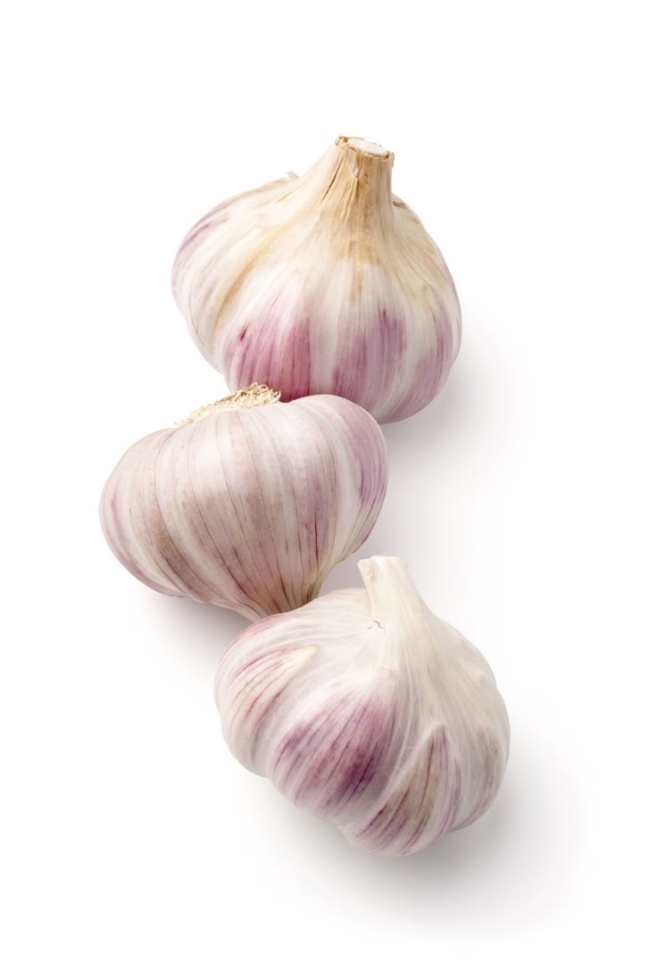 Ajo _0