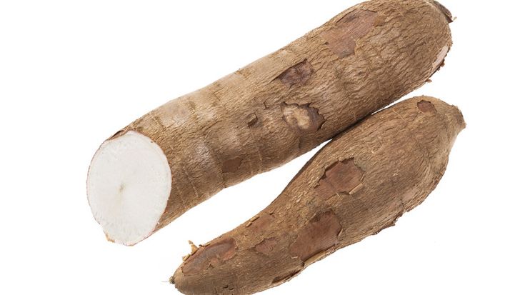 Yuca