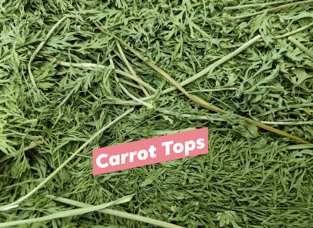 Dried Carrot Tops 150g