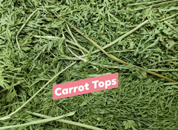 Dried Carrot Tops 150g