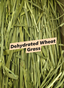 Dehydrated Wheat Grass 250g