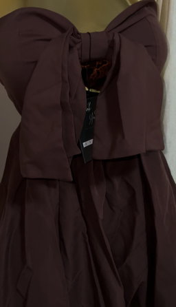 Front Bow Tie Mini Dress