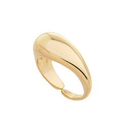 Anel Liso Ajustável banhado a Ouro 18k