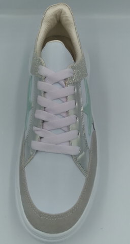 Aria12P