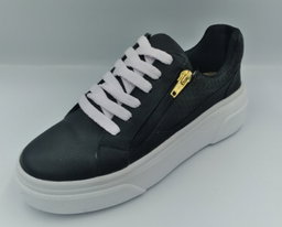 Aria17N