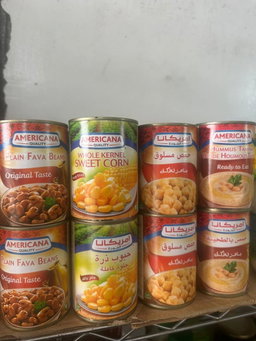 Canned معلب