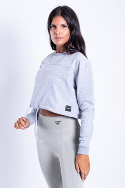 Icon Crop Hoodie (grey)