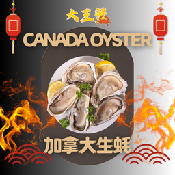 OYSTER 生蚝 6pcs 