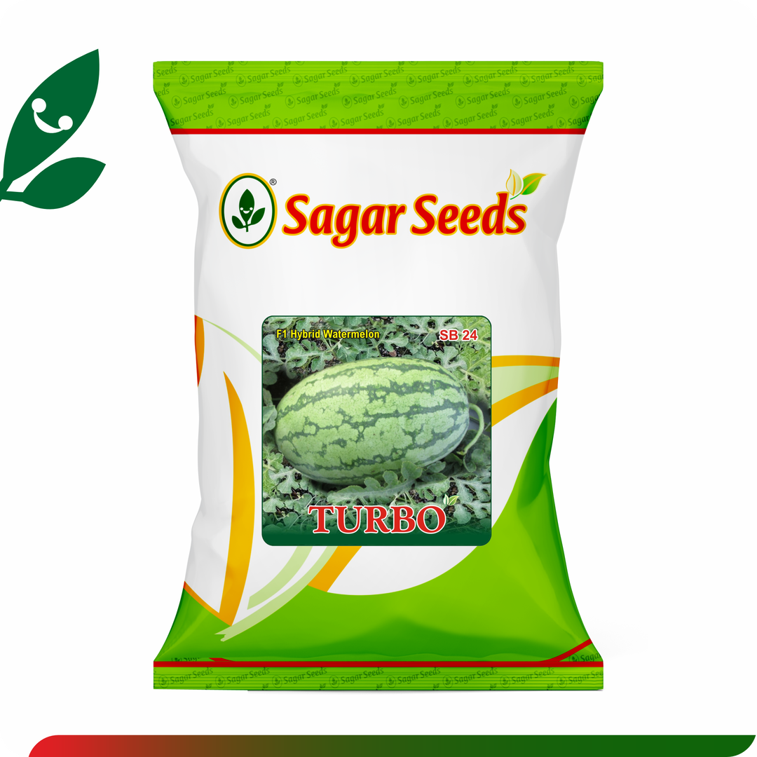 Sagar Turbo F1 Watermelon(50g)