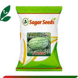 Sagar Turbo F1 Watermelon(50g)