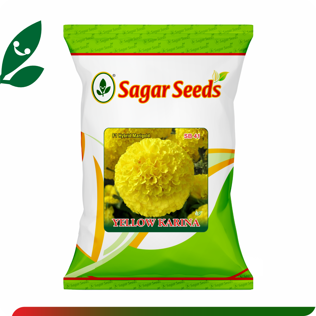 Sagar Yellow Karina F1 Marigold (100 Seeds)