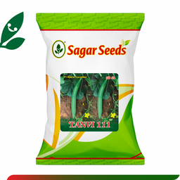 Sagar Tanvi 111 F1 Cucumber (25g)