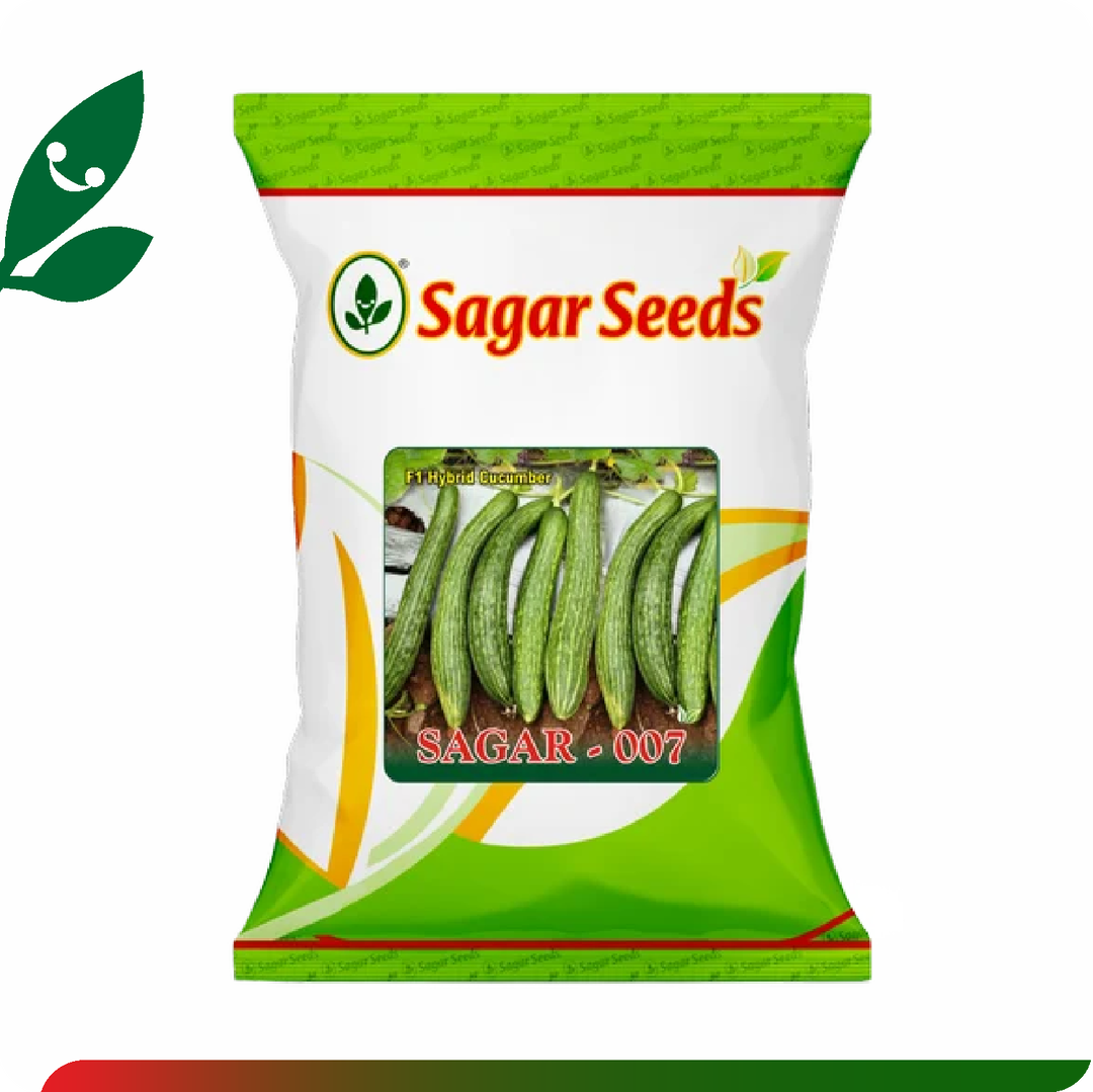 Sagar 007 F1 Cucumber (25g)