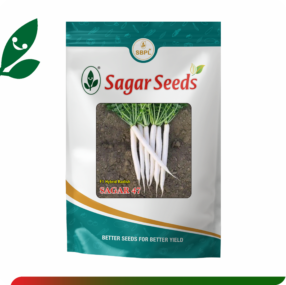 Sagar 47 F1 Radish (100g)