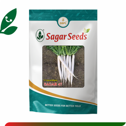 Sagar 47 F1 Radish (100g)