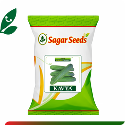 Sagar Kavya F1 Cucumber (25g)