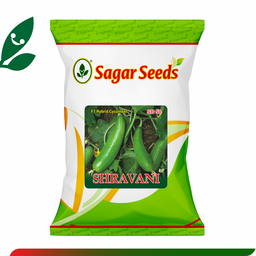 Sagar Shravani F1 Cucumber (25g)
