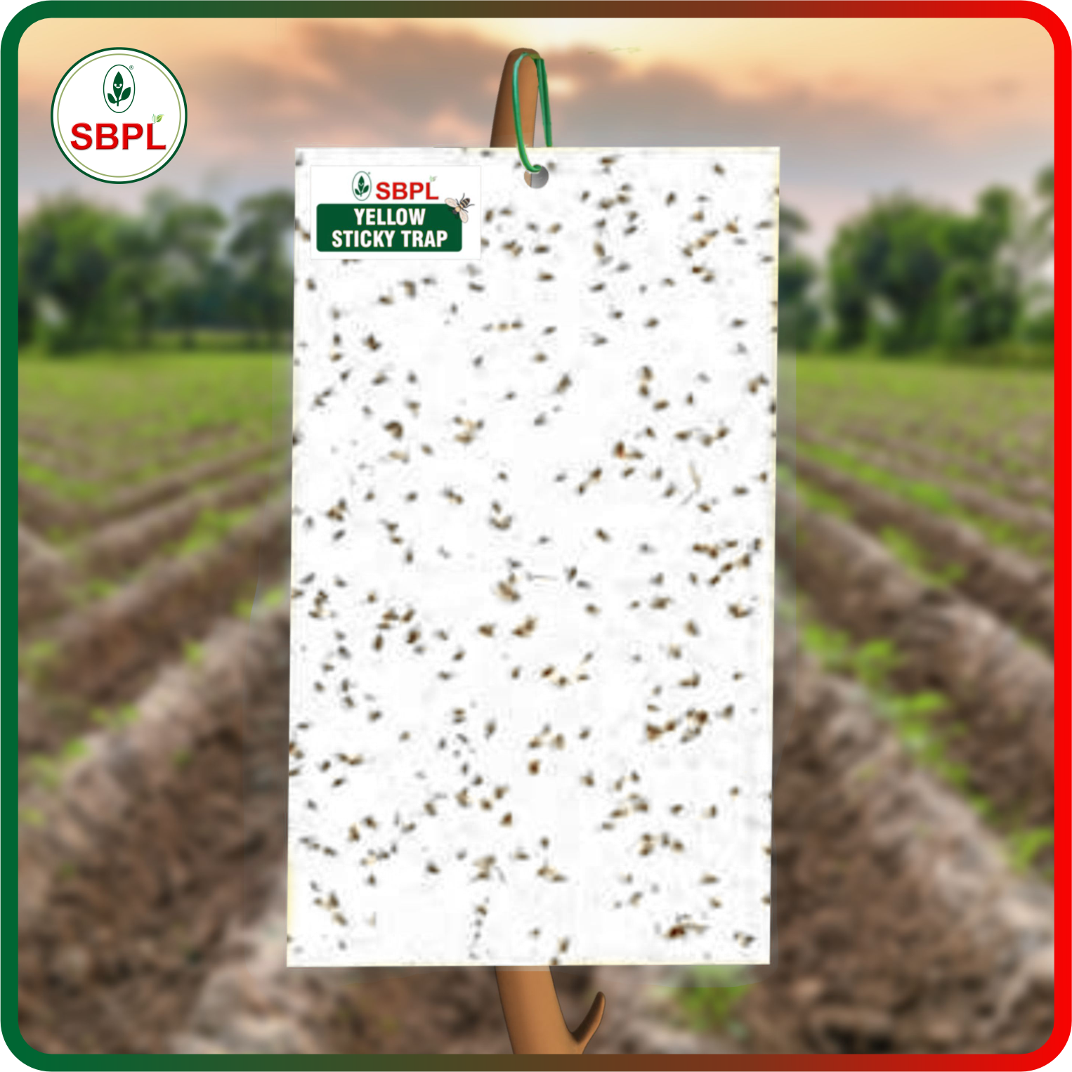 Sagar White Sticky Trap (20PCS)_2