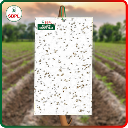 Sagar White Sticky Trap (20PCS)