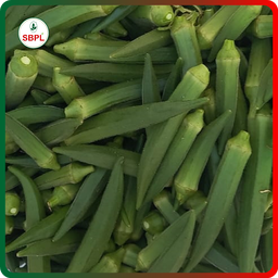 Sagar Maruti F1 Okra (250g)