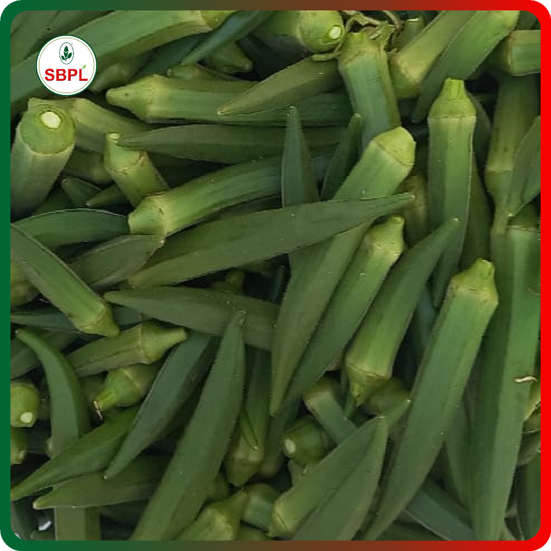 Sagar Maruti F1 Okra (100g)