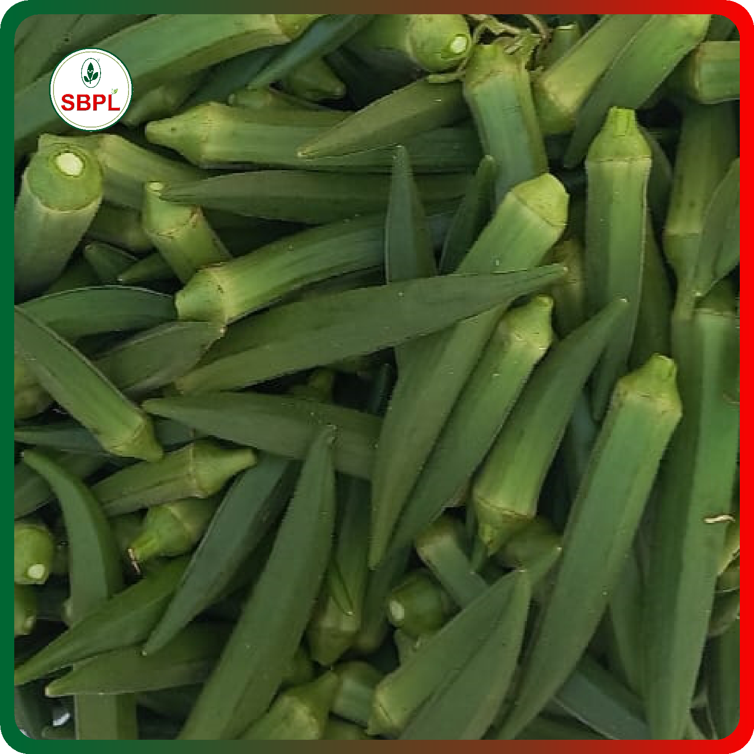 Sagar Maruti F1 Okra (100g)_0