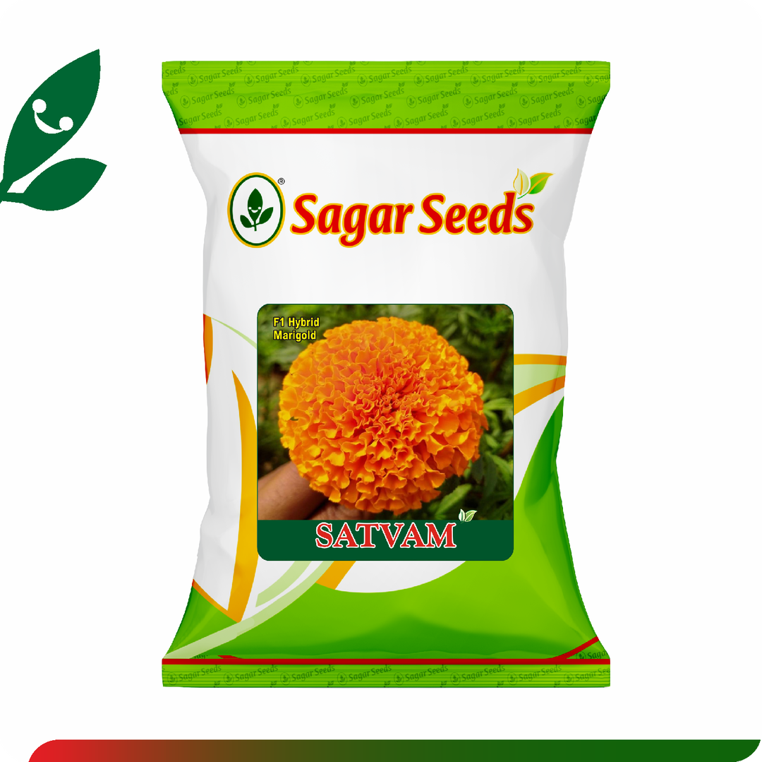 Sagar Satvam F1 Marigold (100 Seeds)