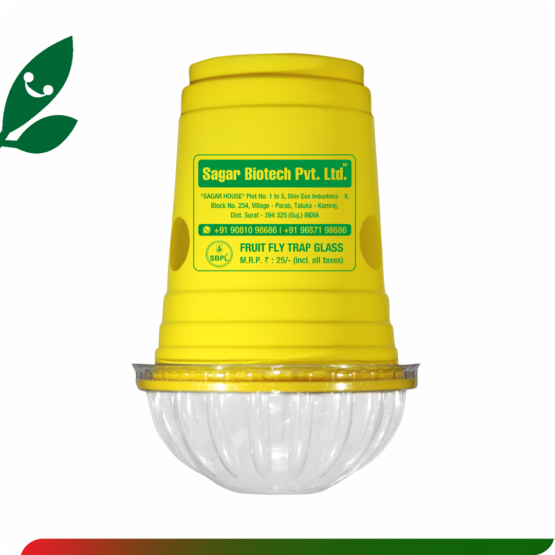 Sagar Fruitfly Trap Glass (25PCS)