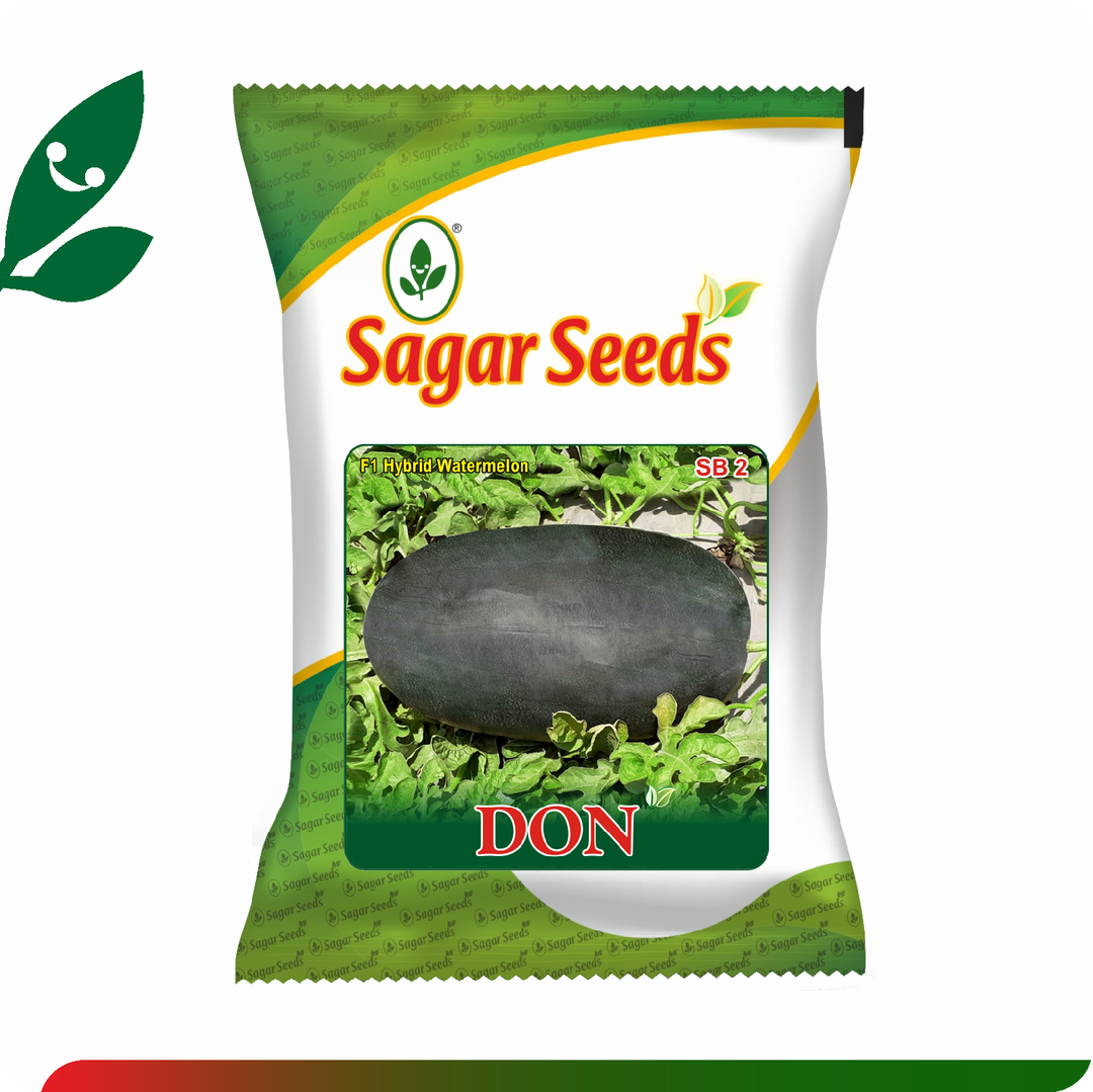 Sagar Don F1 Watermelon(50g)