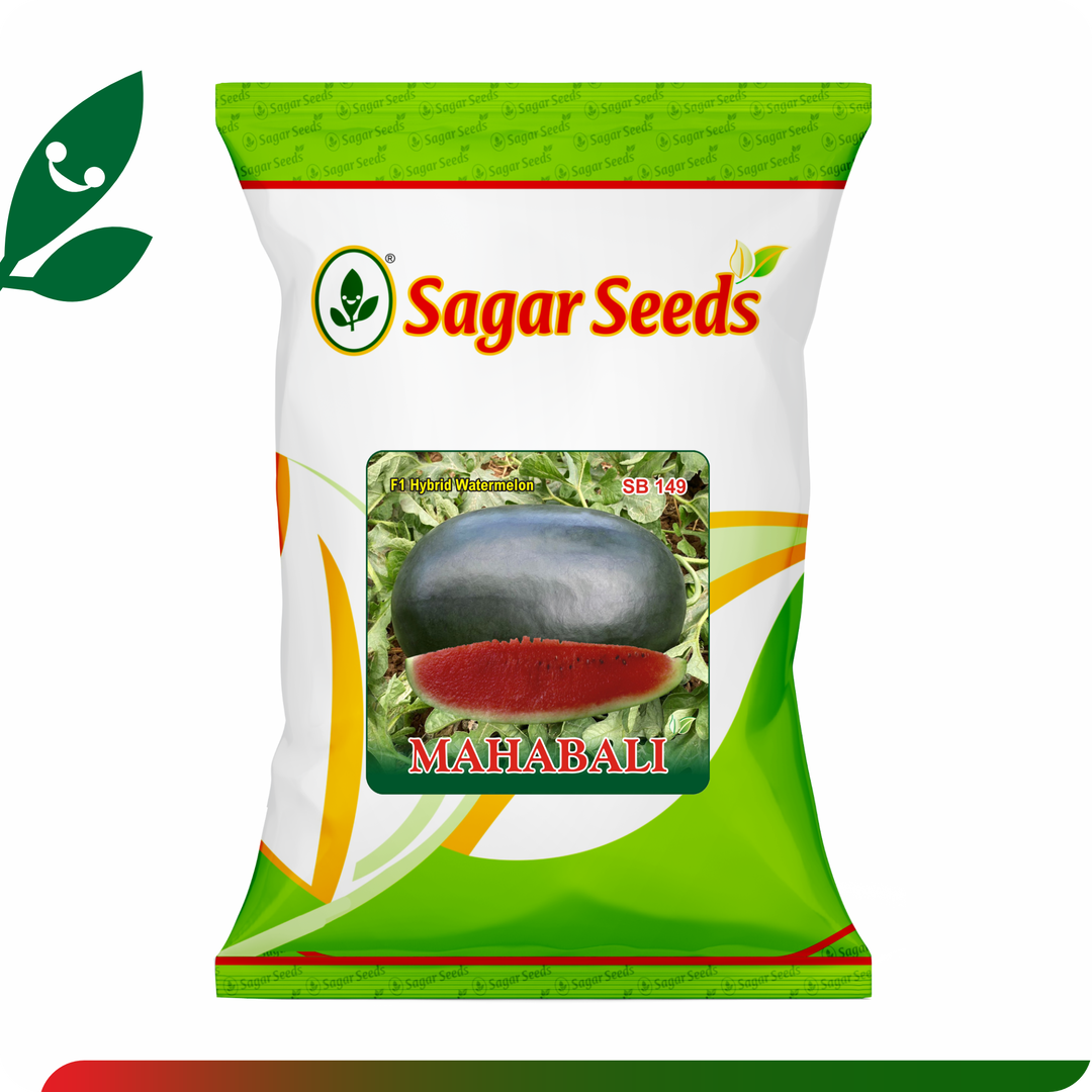 Sagar Mahabali F1 Watermelon(50g)