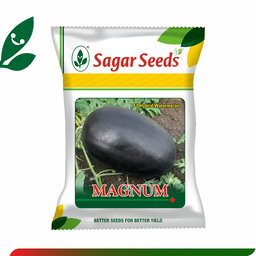 Sagar Magnum F1 Watermelon(50g)