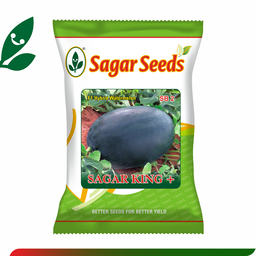 Sagar King plus F1 Watermelon(50g)